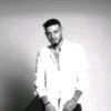 fansshami28