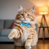 orangecat_loves_you
