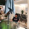 attariq.putra2