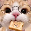 jetcamauu69