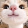 fireeiy_2