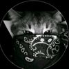 cilcuekk9