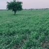 aaqw191tiktok.comaaqw