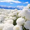 user7810637619936