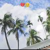 alif._0007