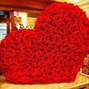 user8472375448182