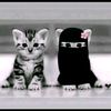 eiva.islam07