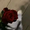 aa_12rj