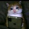 user6992601629978