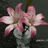 sajied.hamoud