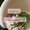 user5080070362199