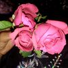 firoz9139