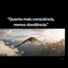 conhecimentoestoico0