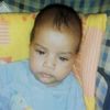 amine.zibra