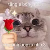 truongvipro207