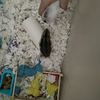 hammy_honey_the_hamsters