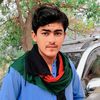 habib.king.500