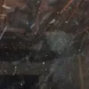 big_salt1