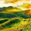 huynhtrung_123