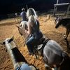 countrykid408