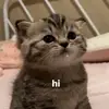 kimmichy391
