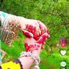 ahssanbilal33