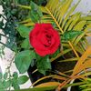 md.manik.islam.98