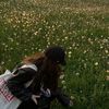areum 아름