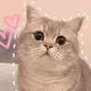 qua.shopee.dn.m.i