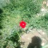 user97470072745242
