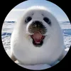 cuty.cuty57