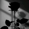 u.than.lwin559