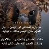 user5903035970567