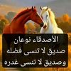 ahmed754556