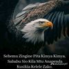 user11979633198712