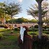 nima_0327
