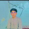 mailk.hassan804