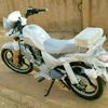user4351503461447