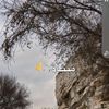 ali.bsharat34