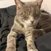 isabellamcleod11