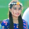 dipannitaroynan17