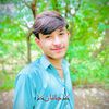 qammarking2