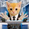 НОВОСТНОЙ КОТИК