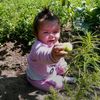 buse61008