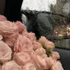 lo__881