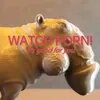 cartilagoon