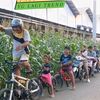 bmxunik2