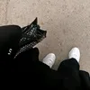 ny_ay6