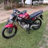 dedek4719