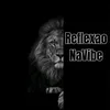 ReflexãoNaVibe